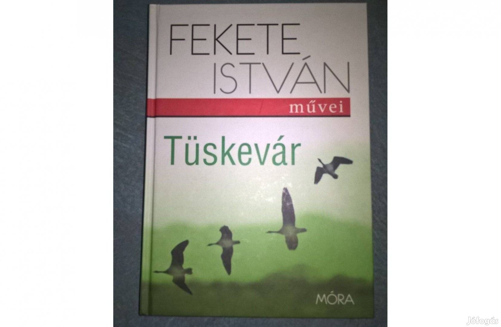 Fekete István - Tüskevár