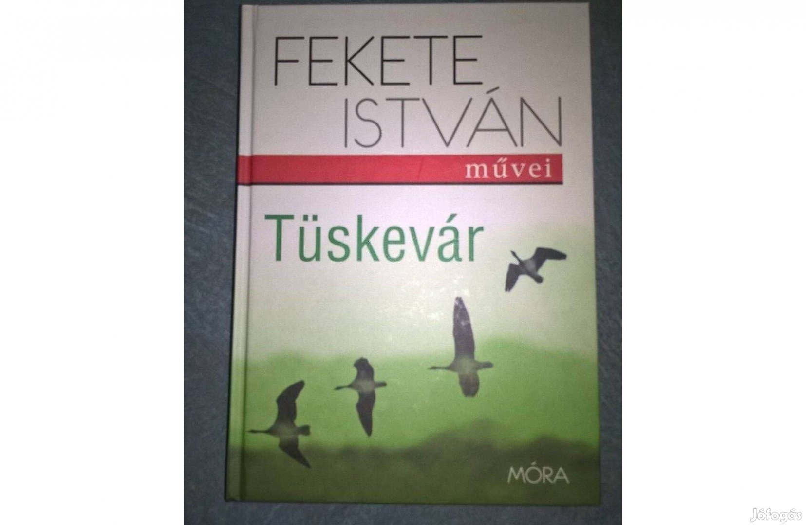 Fekete István - Tüskevár