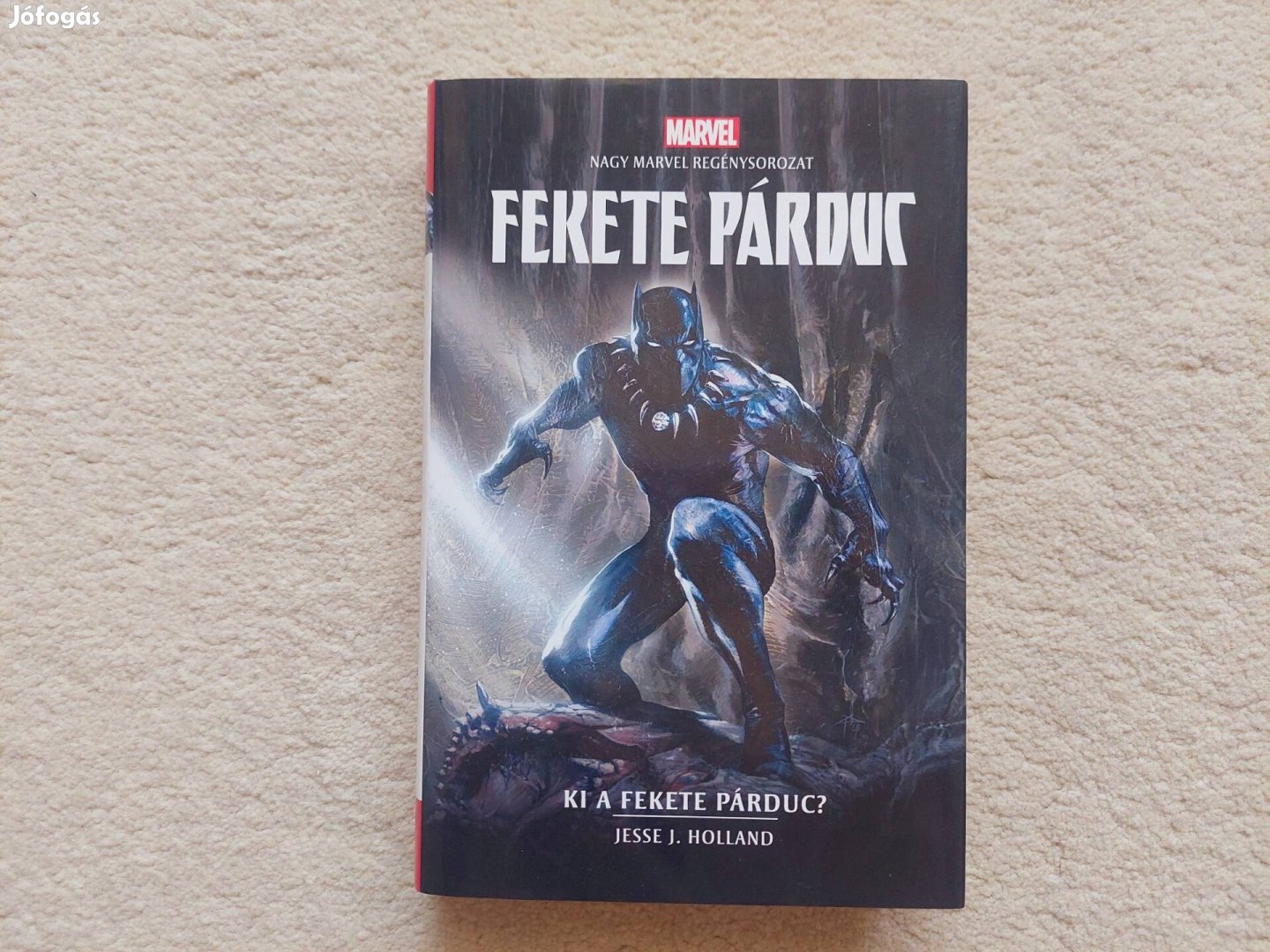 Fekete Párduc - Ki a fekete párduc? Marvel regény