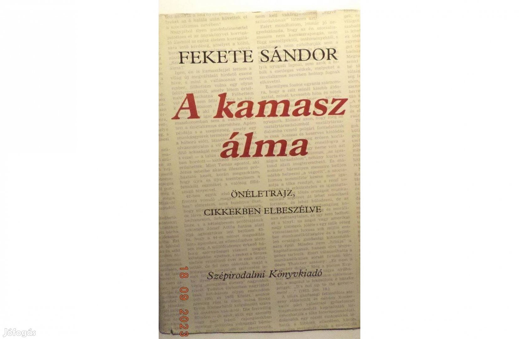 Fekete Sándor: A kamasz álma