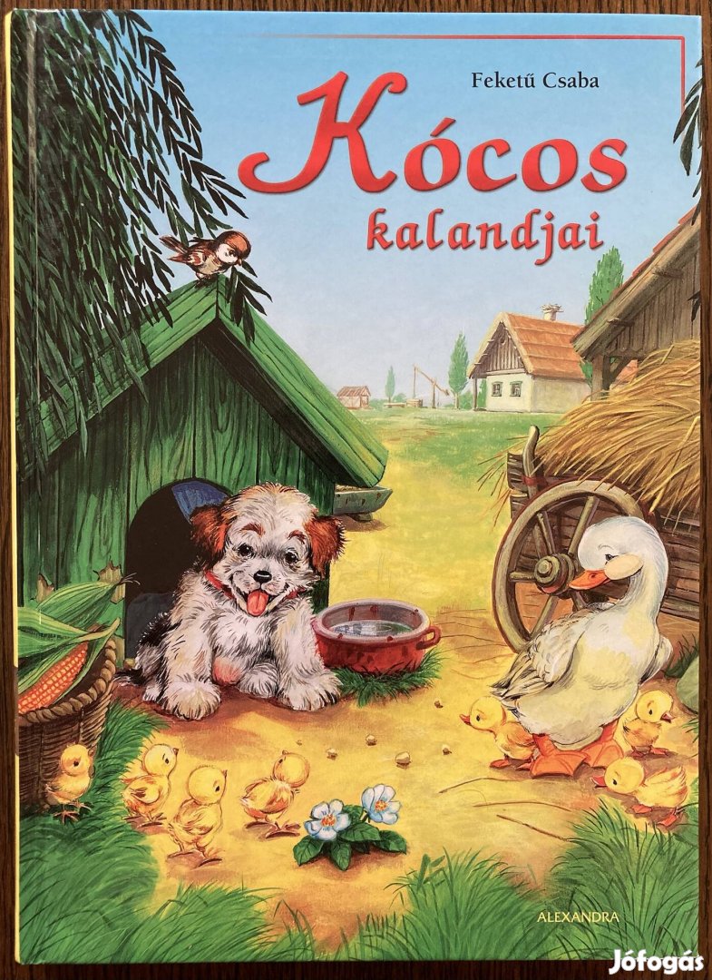 Feketű Csaba: Kócos kalandjai