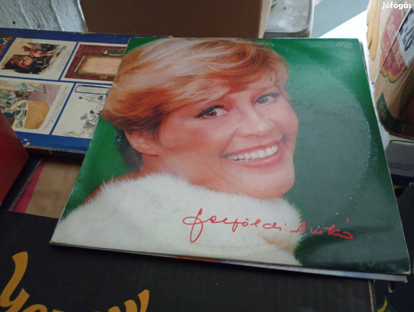 Felföldi Anikó Felföldi Anikó Slpm 16760 2000ft óbuda