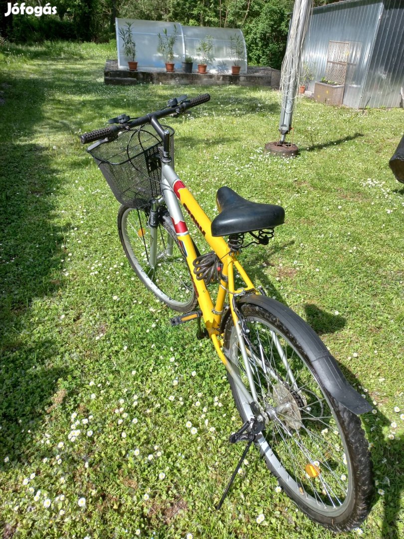 Felnőtt Storm mountain bike kerékpár