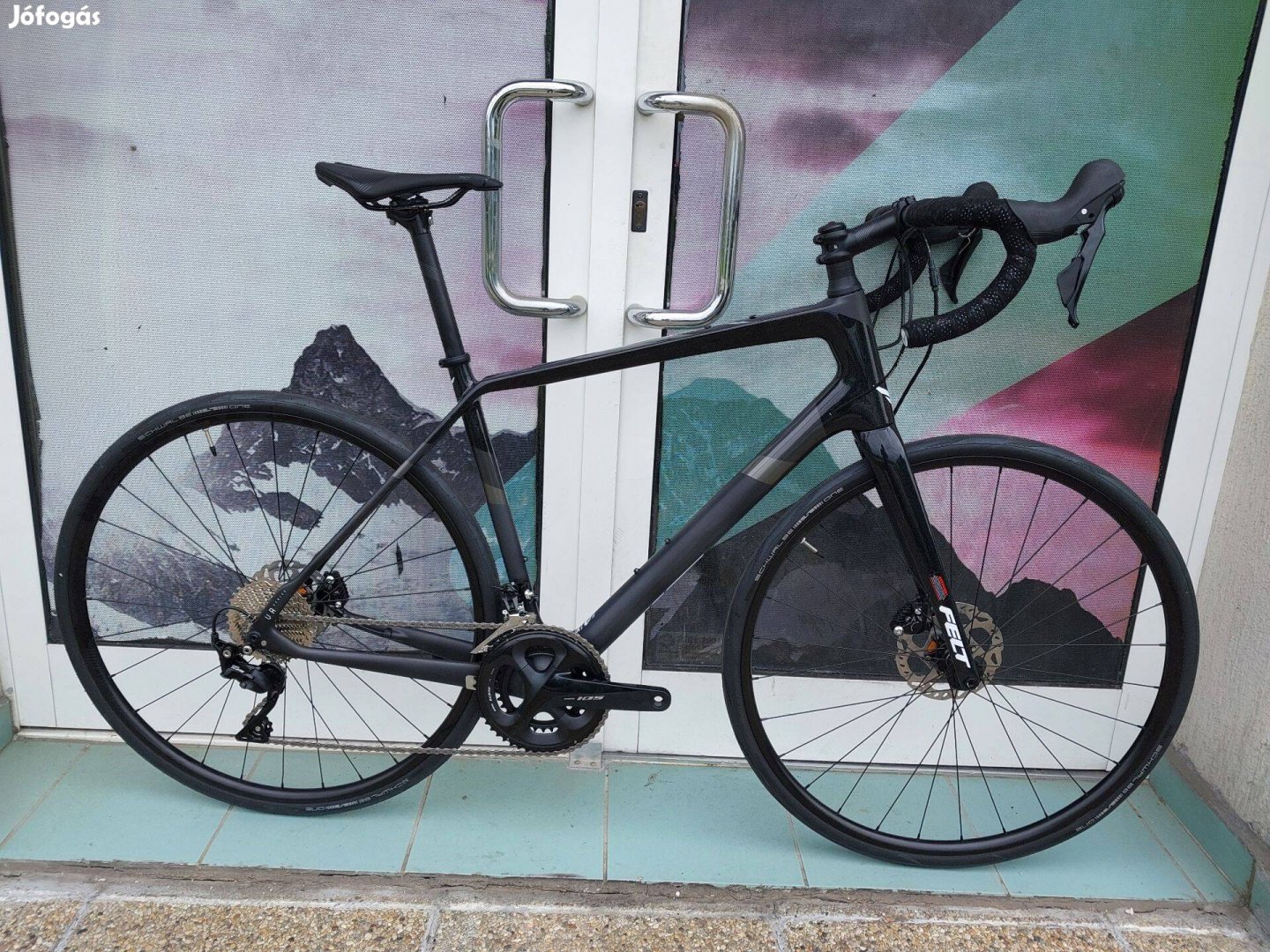 Felt Performance Carbon 105 (L 56 ) ( 0 km Akciós)