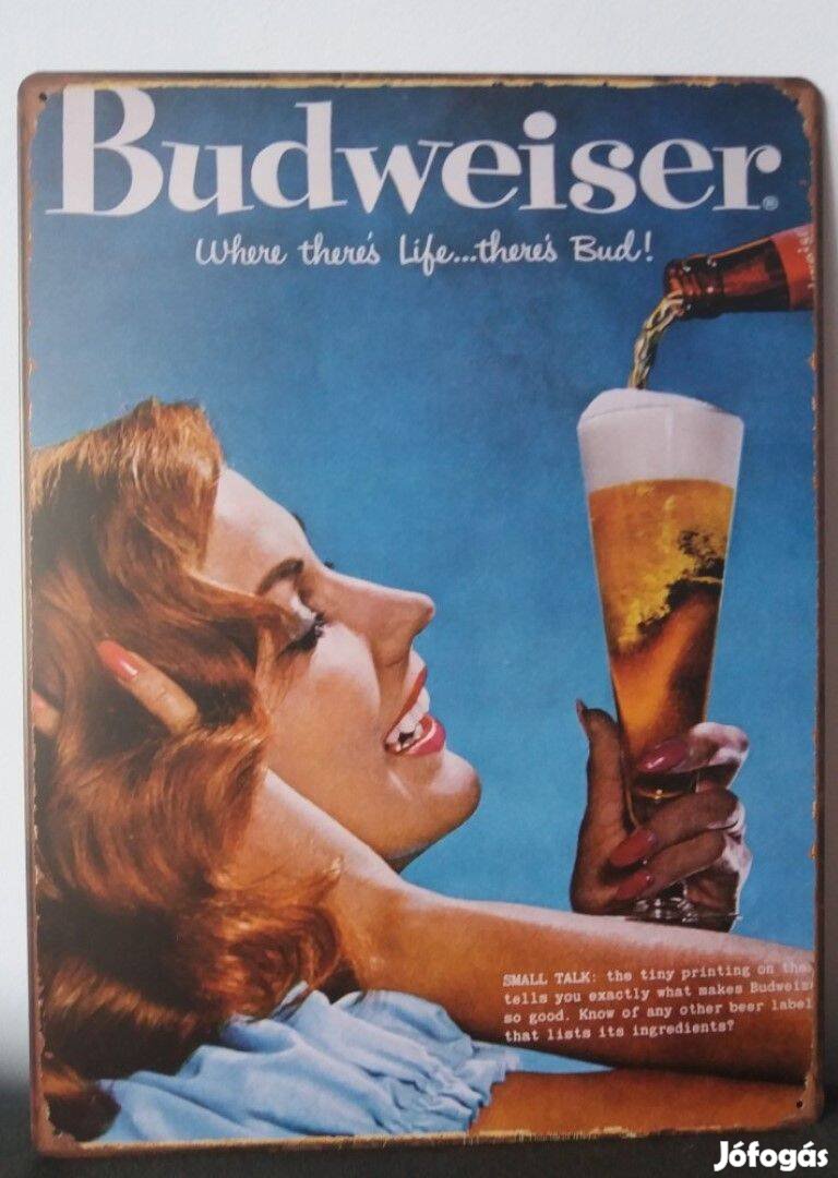 Fém kép Budweiser (17316)