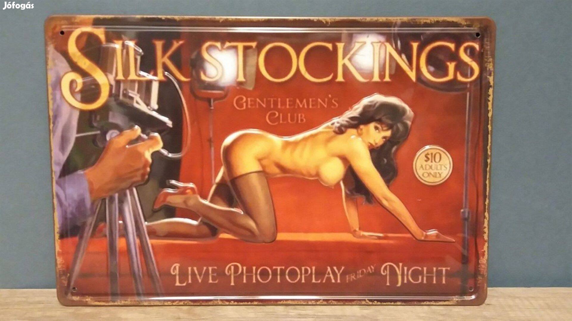 Fém kép Silk stockings (25051)