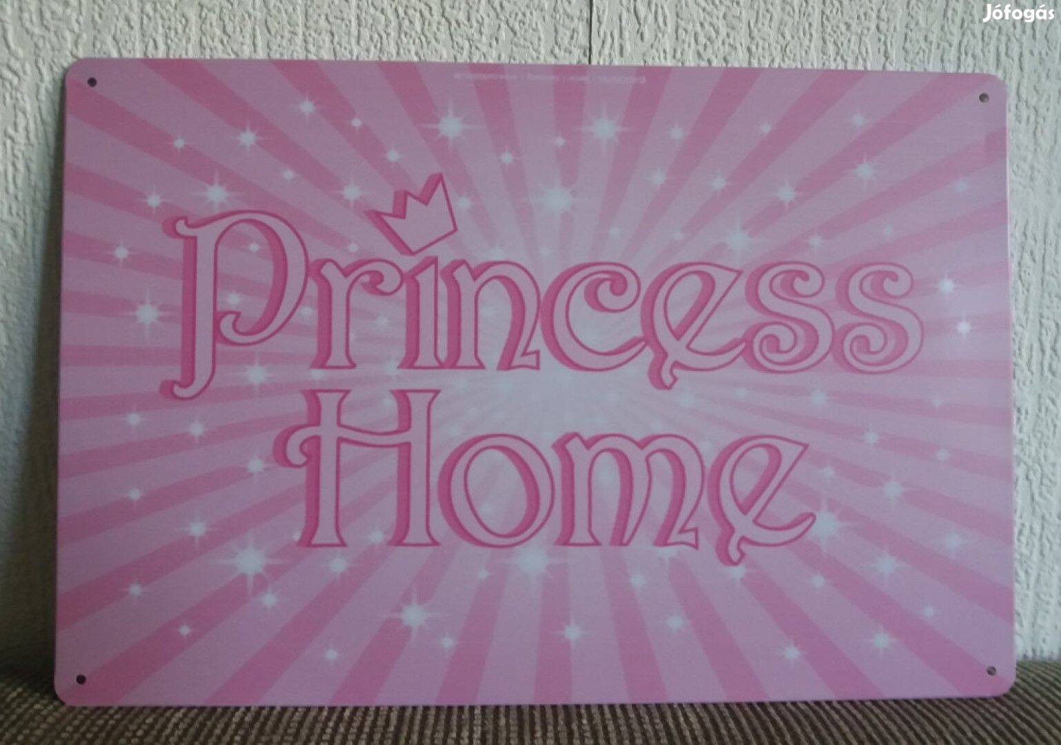 Fém kép: Princess home (23457)