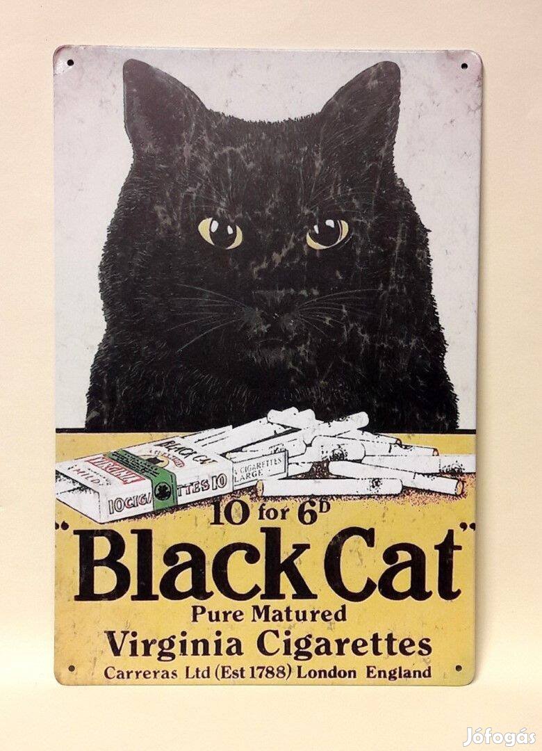 Fém kép :balck cat (43228)