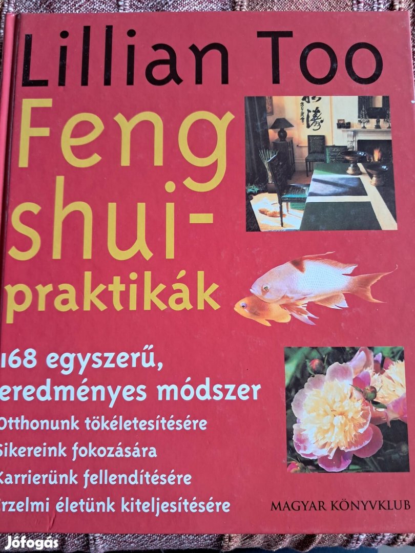 Feng Shui Praktikák 168 Eredményes Módszer 