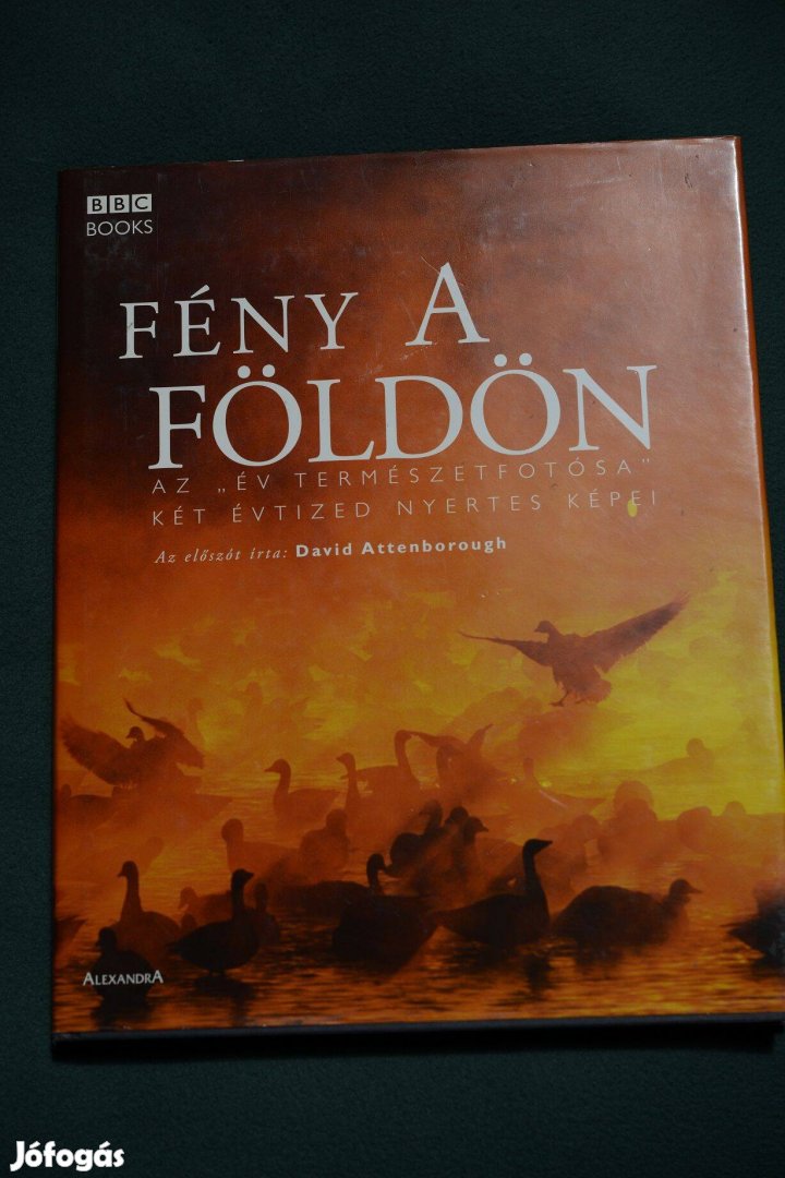 Fény a Földön - Alexandra Kiadó
