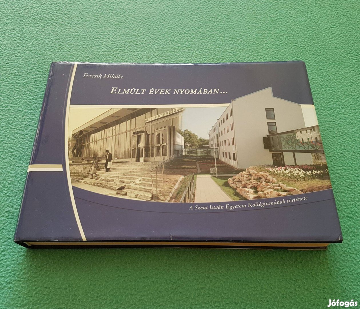 Fercsik Mihály Elmúlt évek nyomában könyv