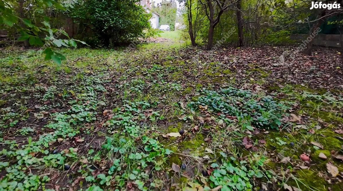 Fertőhomokon főút melletti telek, építési tervekkel eladó