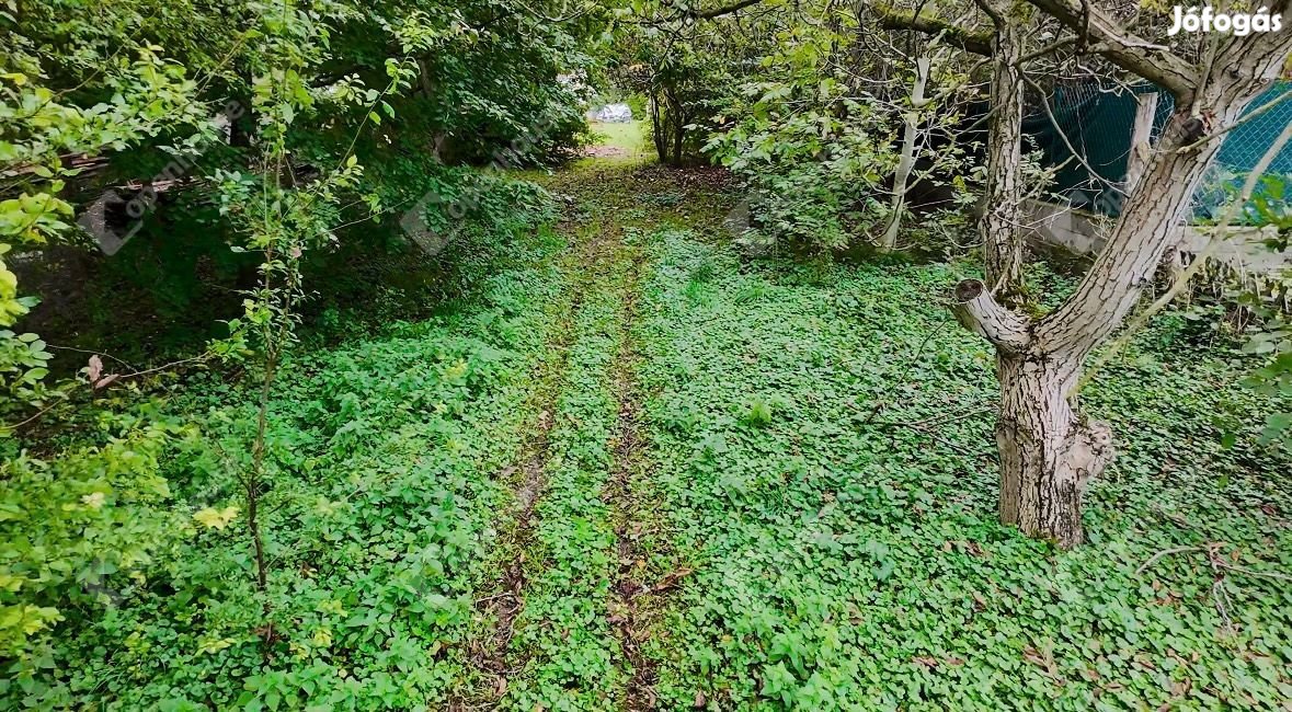 Fertőhomokon főút melletti telek, építési tervekkel eladó