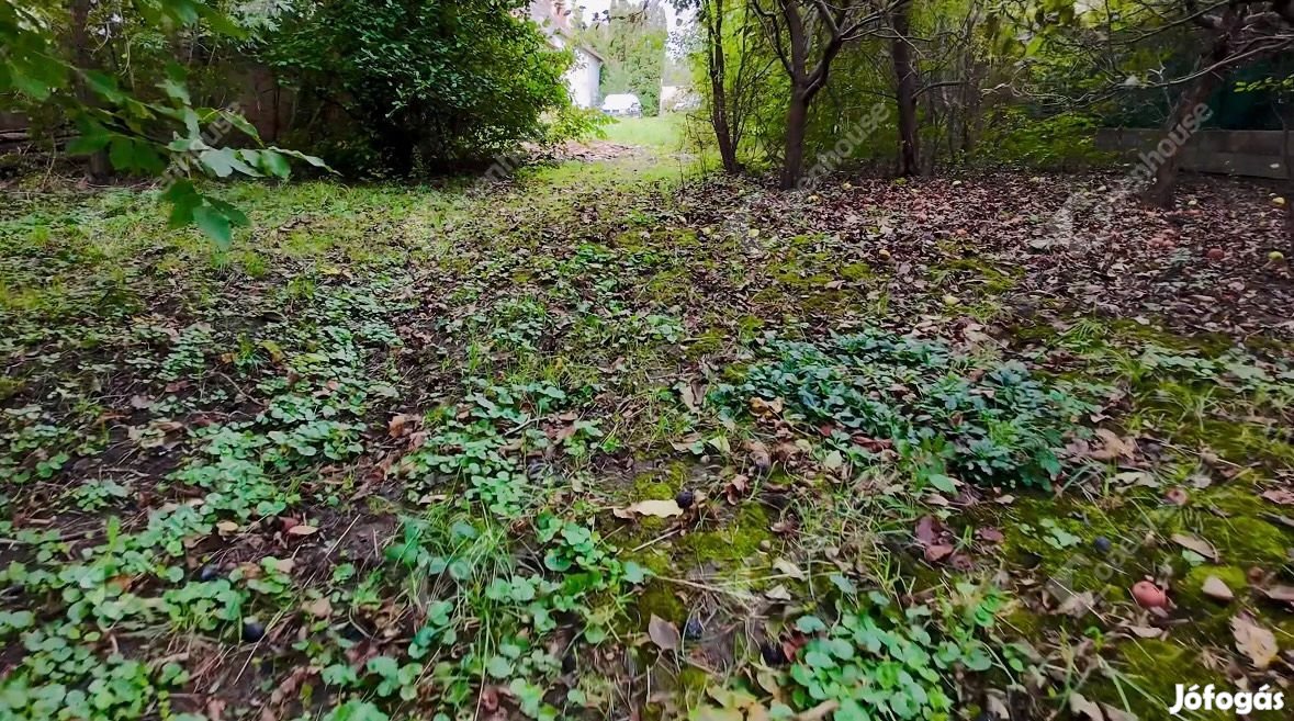 Fertőhomokon főút melletti telek, építési tervekkel eladó