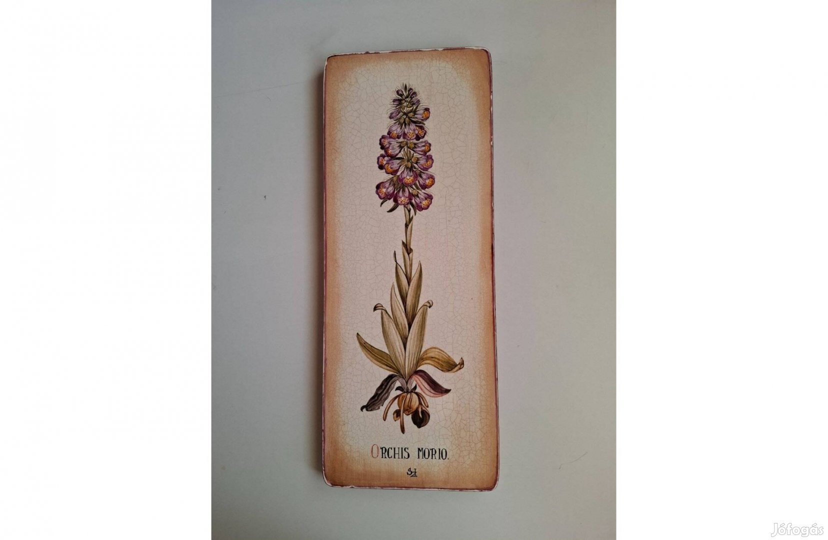 Festett fatábla virággal Orchis morio 45*18 cm