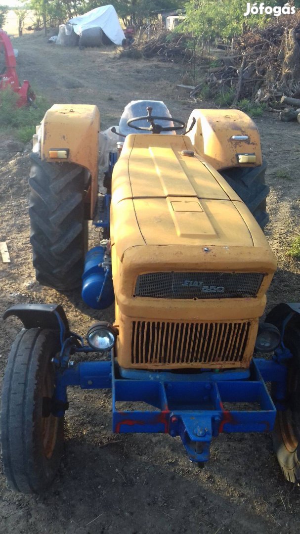 Fiat 850 traktor csere haszonállat juh,sertés,ló stb