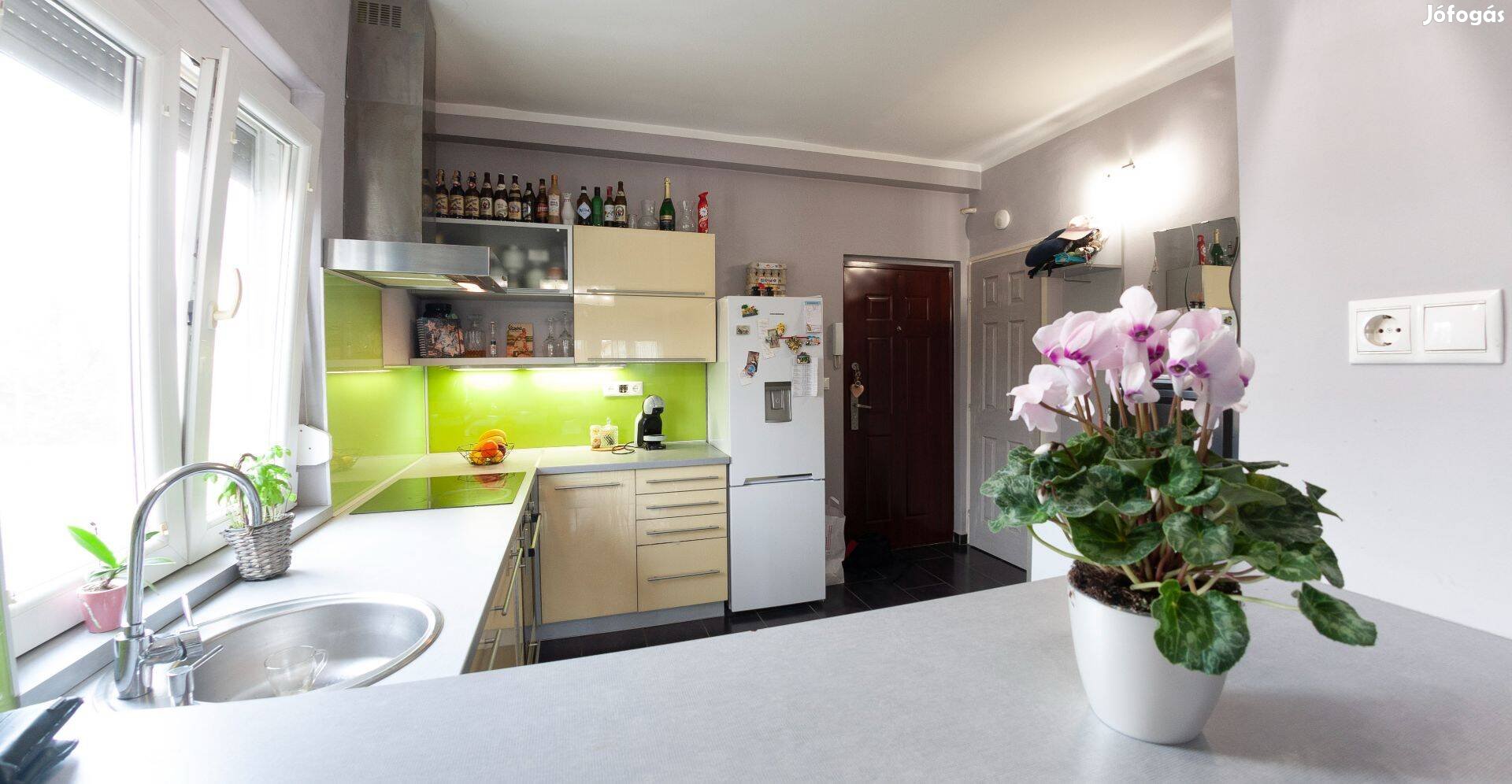 Fiatalos, Felújított, Nappali1 Szobás, Garázsos Ingatlan