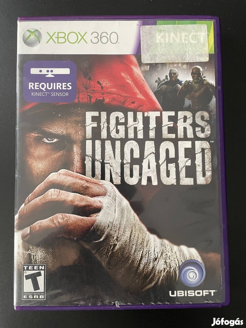 Fighters uncaged, Xbox360 kinect