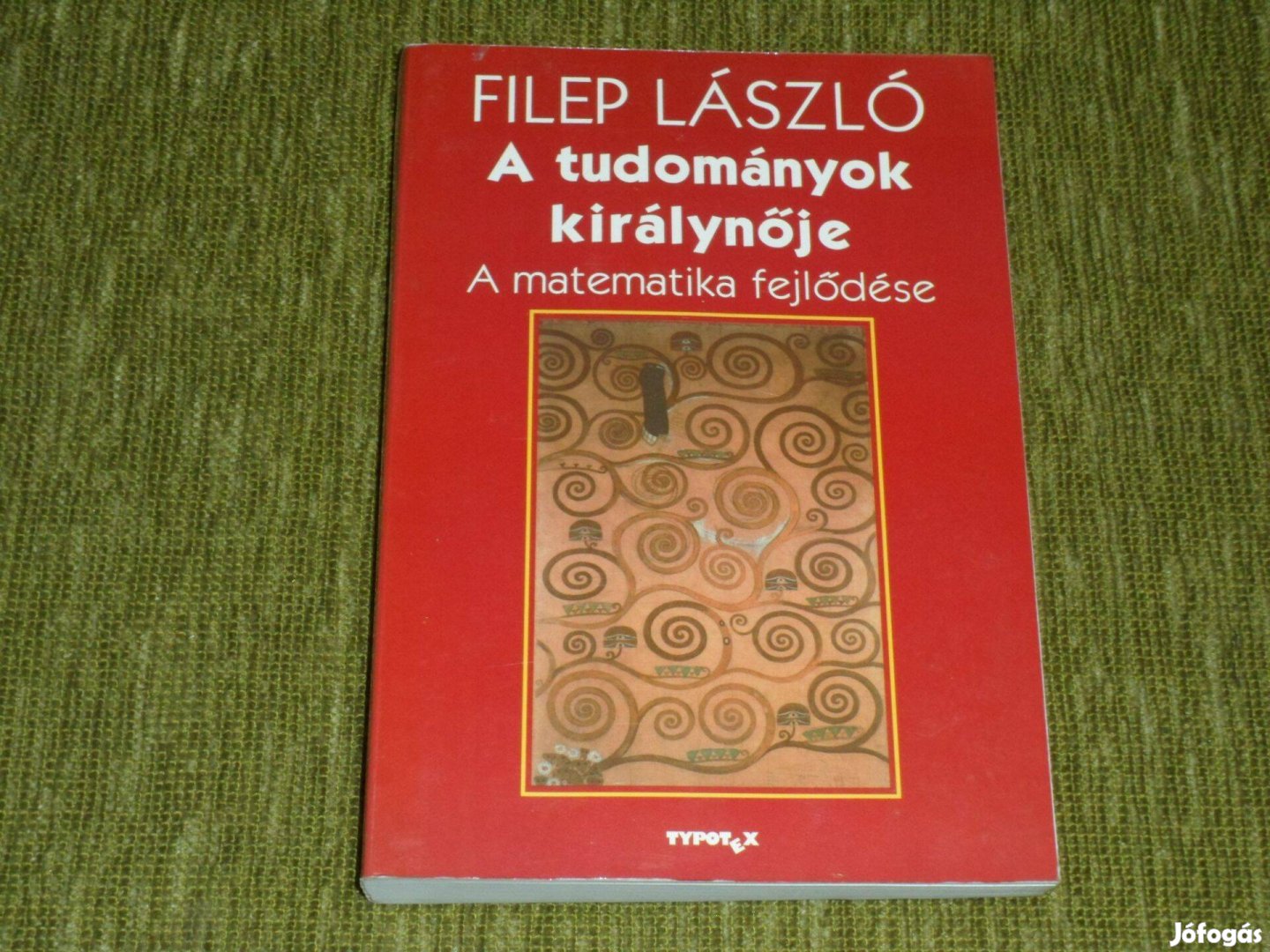 Filep László: A tudományok királynője - A matematika fejlődése