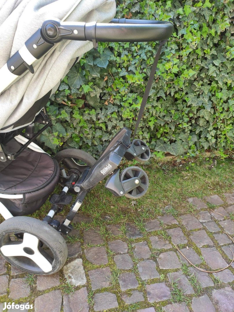 Fillikid testvérfellépő