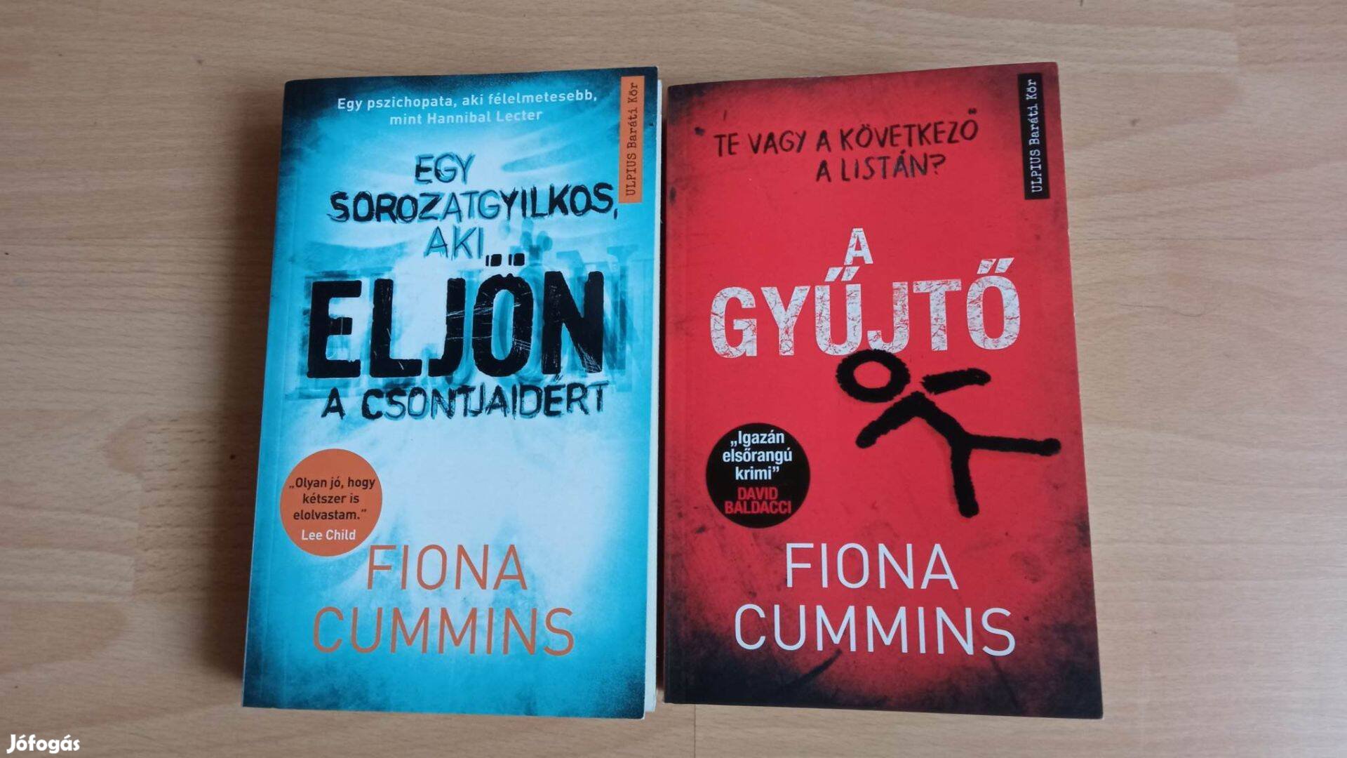 Fiona Cummins Eljön és A gyűjtő c thriller könyvek együtt 2500 Ft