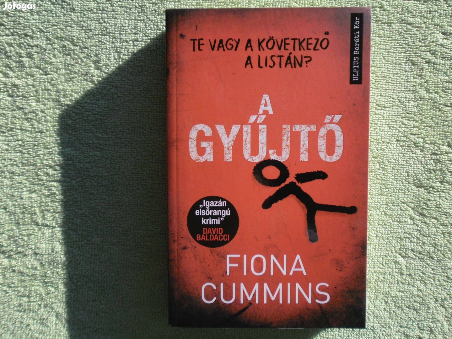 Fiona Cummins: A gyűjtő