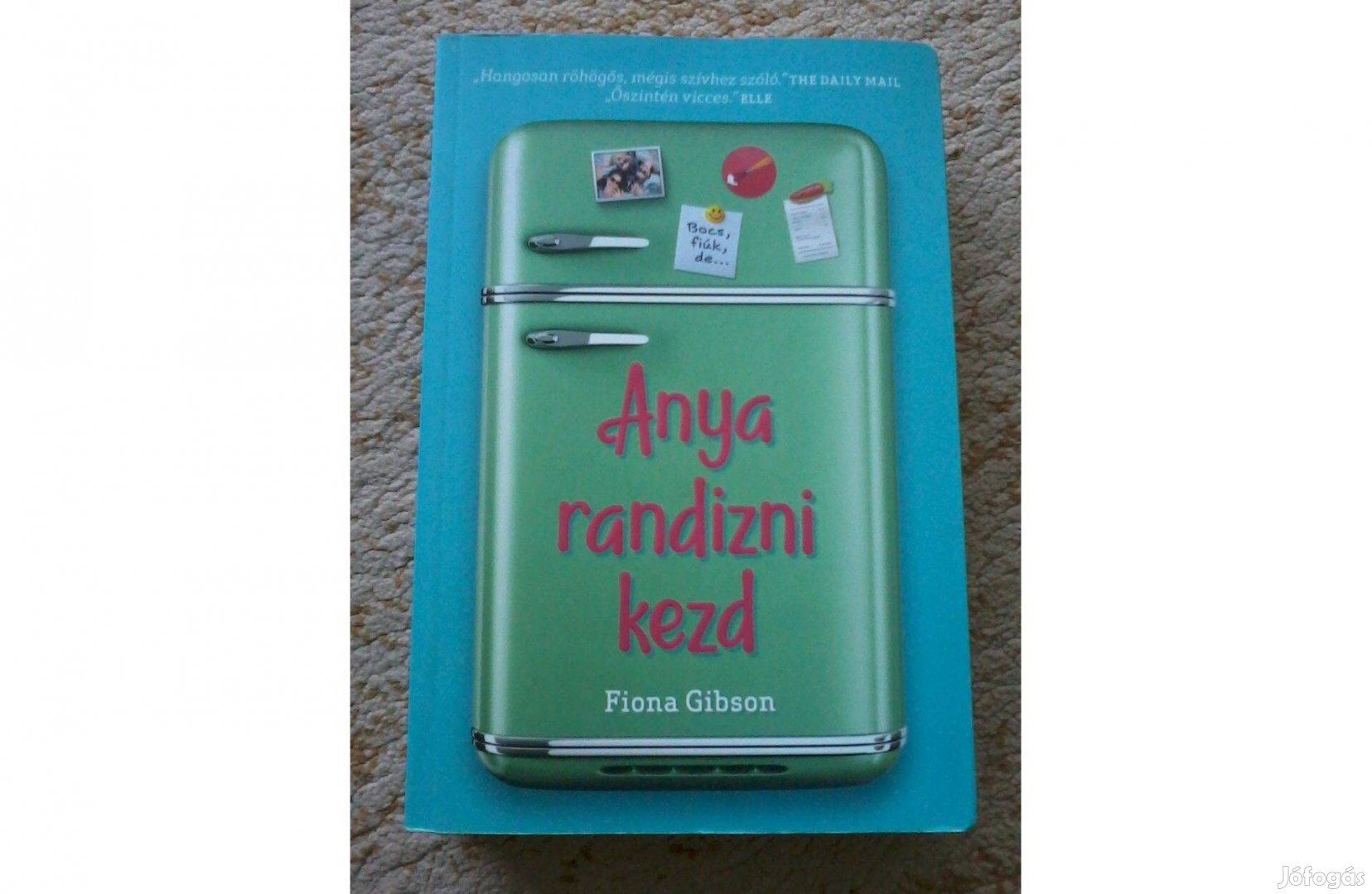 Fiona Gibson: Anya randizni kezd (romantikus könyv)