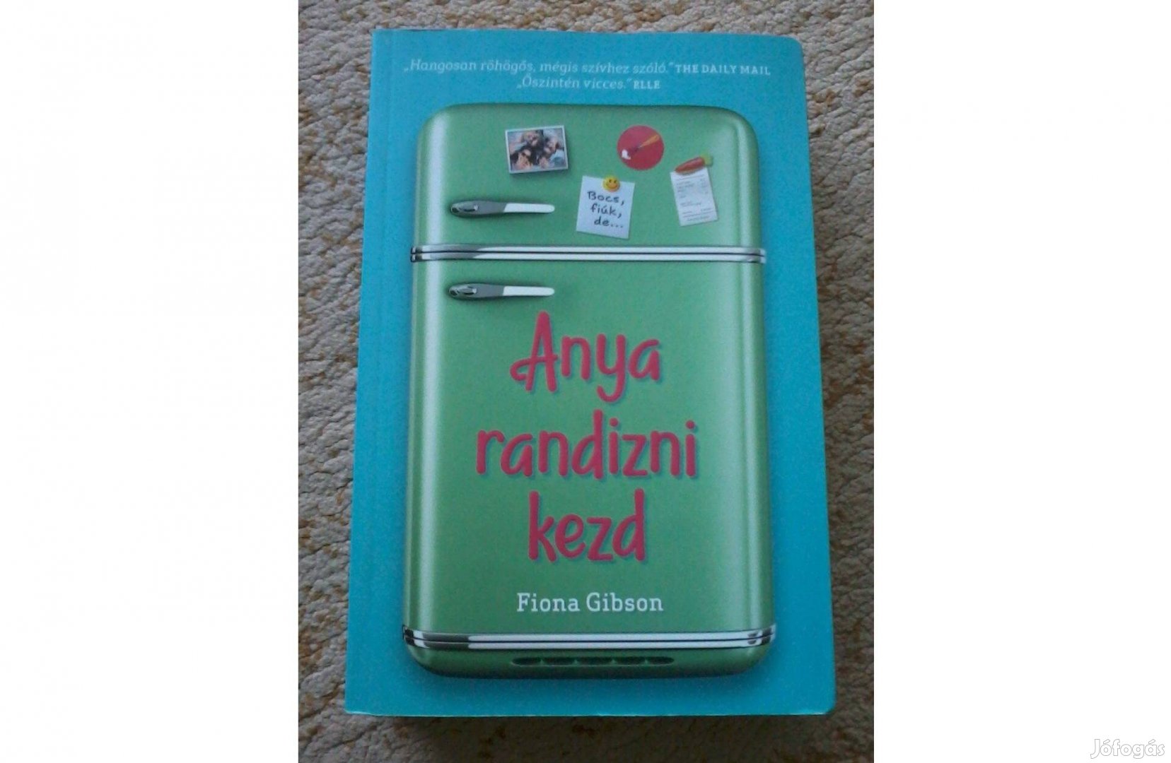 Fiona Gibson: Anya randizni kezd (romantikus könyv)
