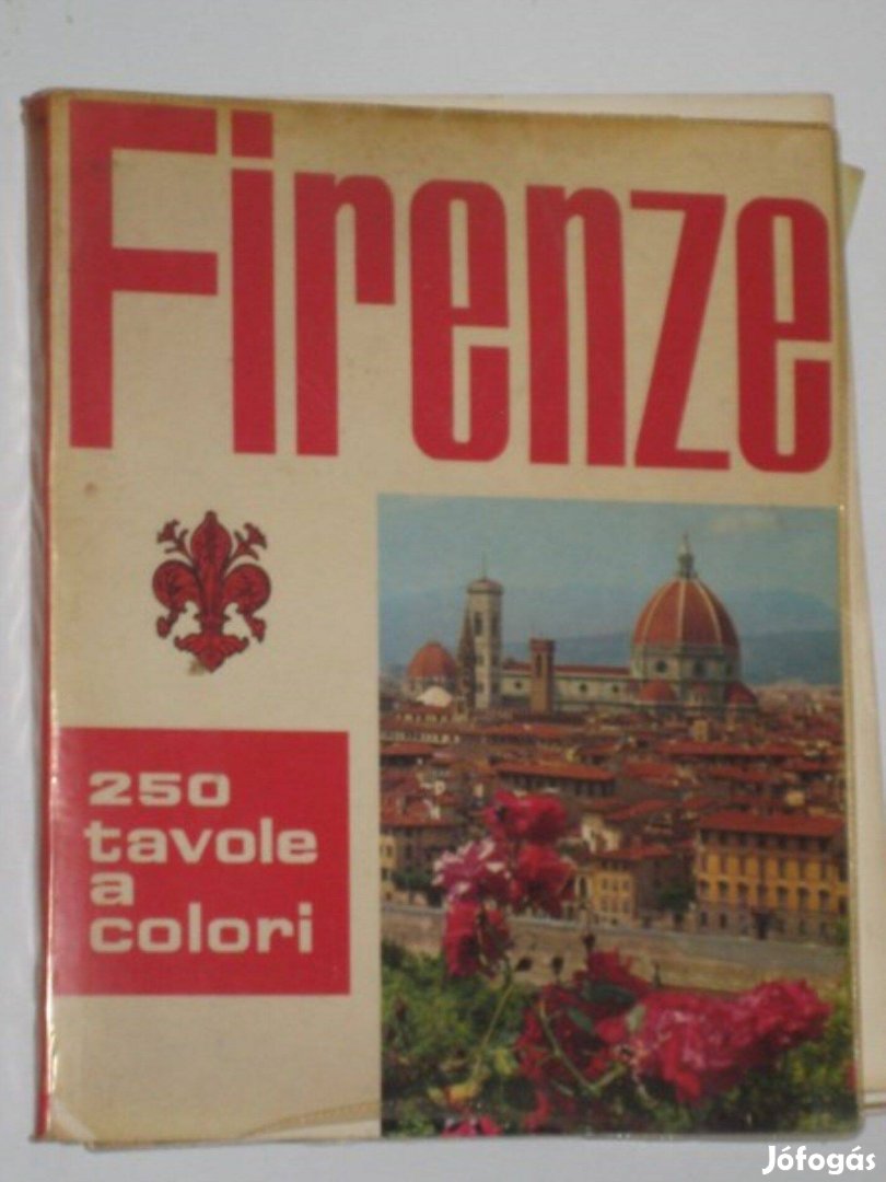 Firenze - guida con 250 tavole a colori