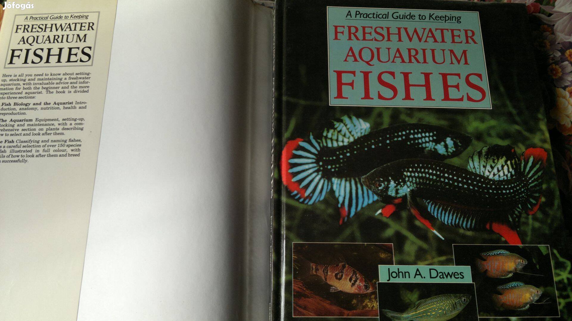 Fishes :Freshwater Aquarium: Új