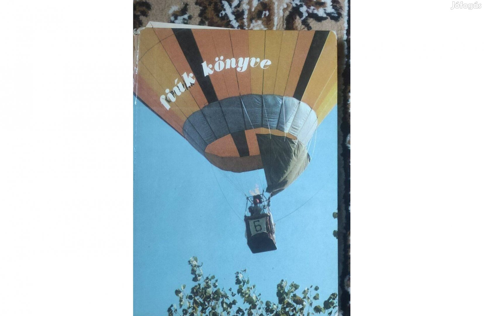 Fiúk könyve című könyv