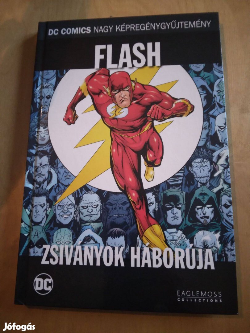 Flash a zsiványok háborúja