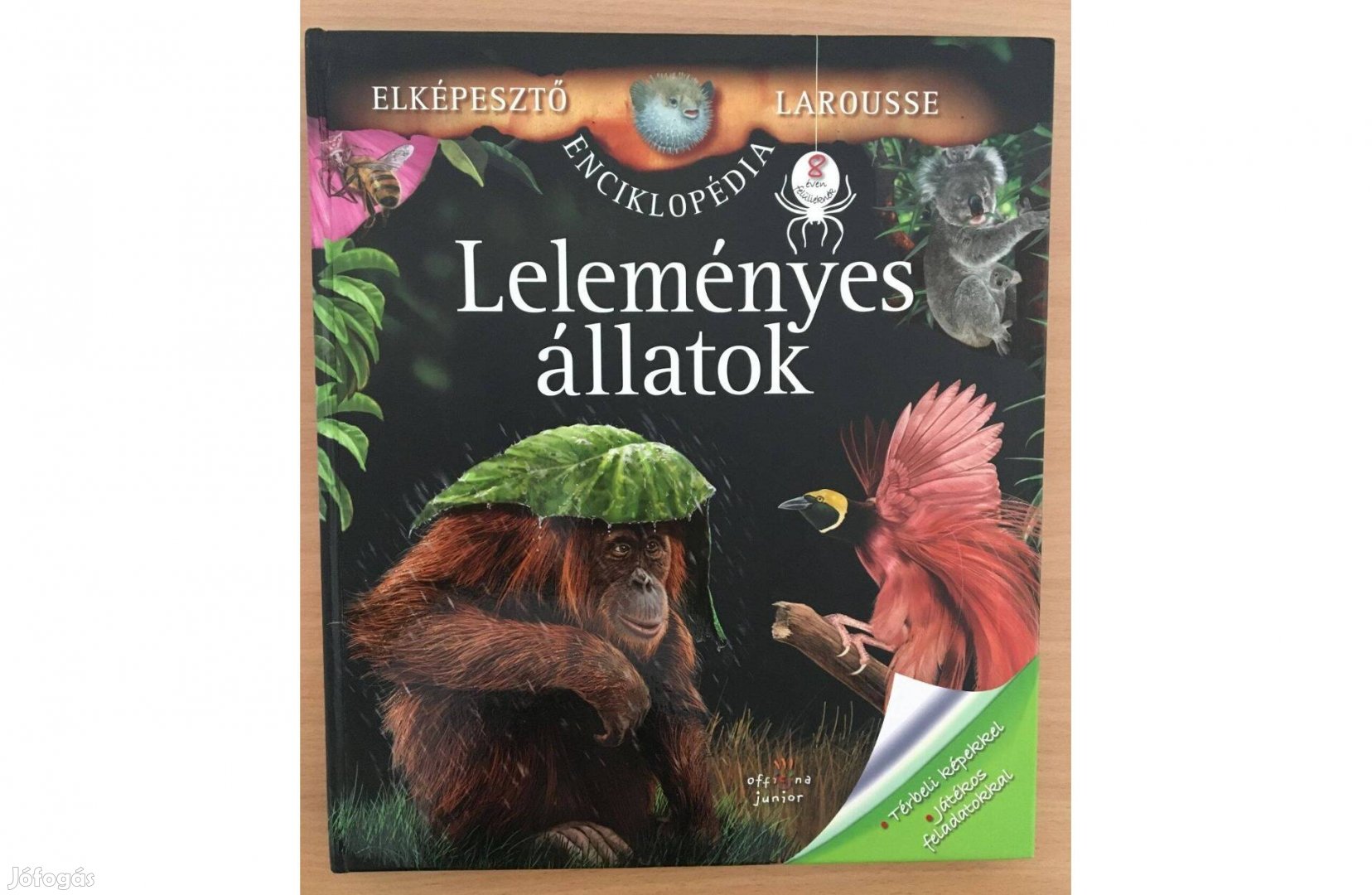 Florence Guichard: Leleményes állatok