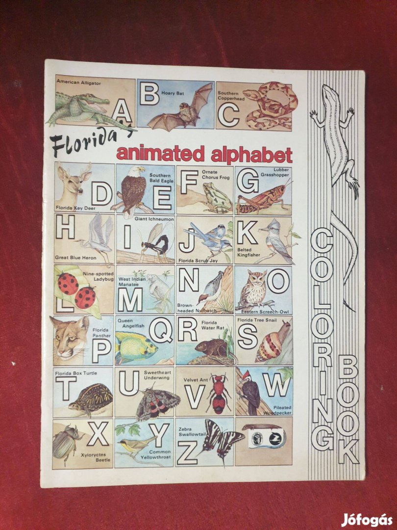 Florida's animated alphabet coloring Book / Kifestőkönyv