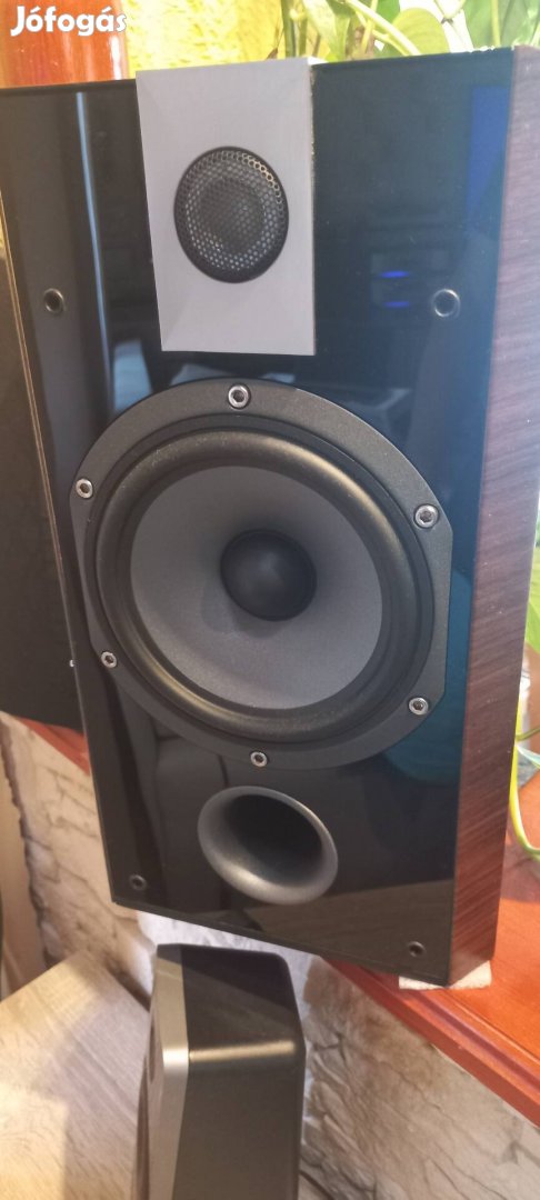 Focal Chorus 806V mokka