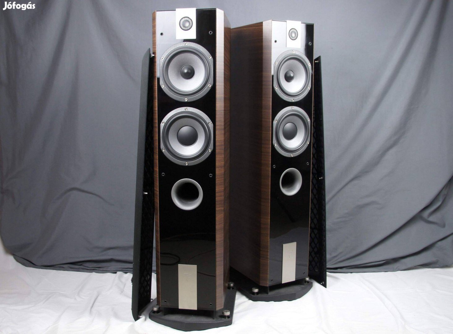 Focal Chorus 816V - Mokka