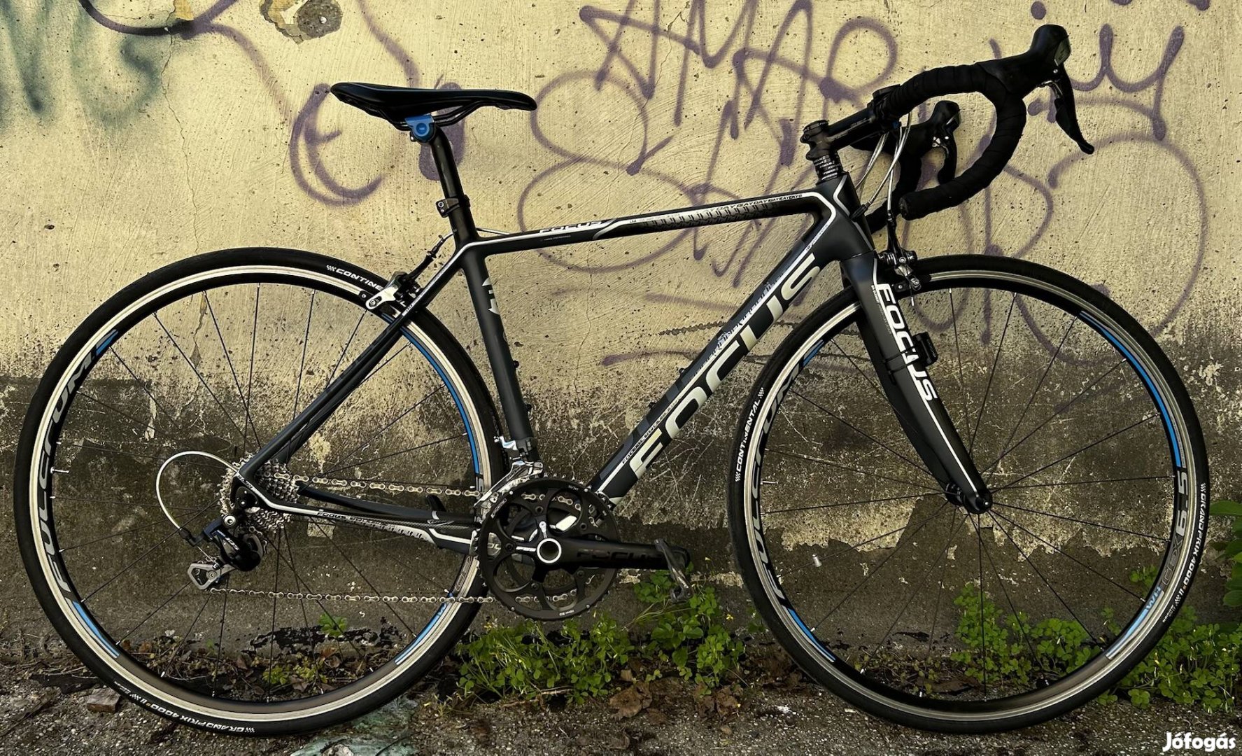 Focus Cayo Evo 5.0 Carbon Országúti