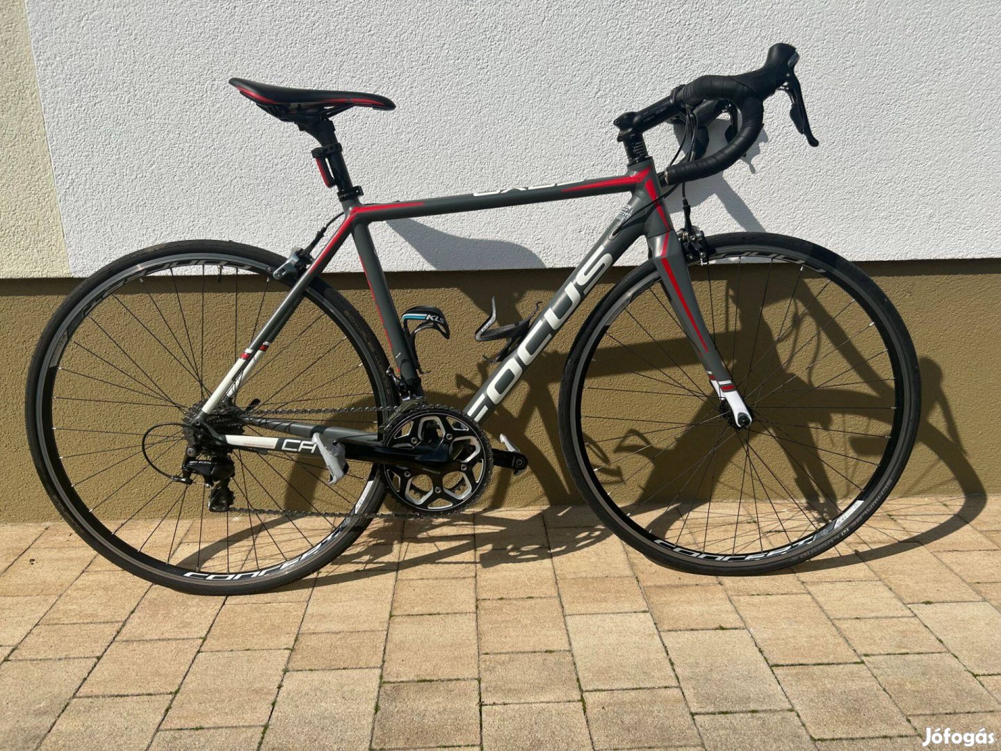 Focus Cayo Országúti 51