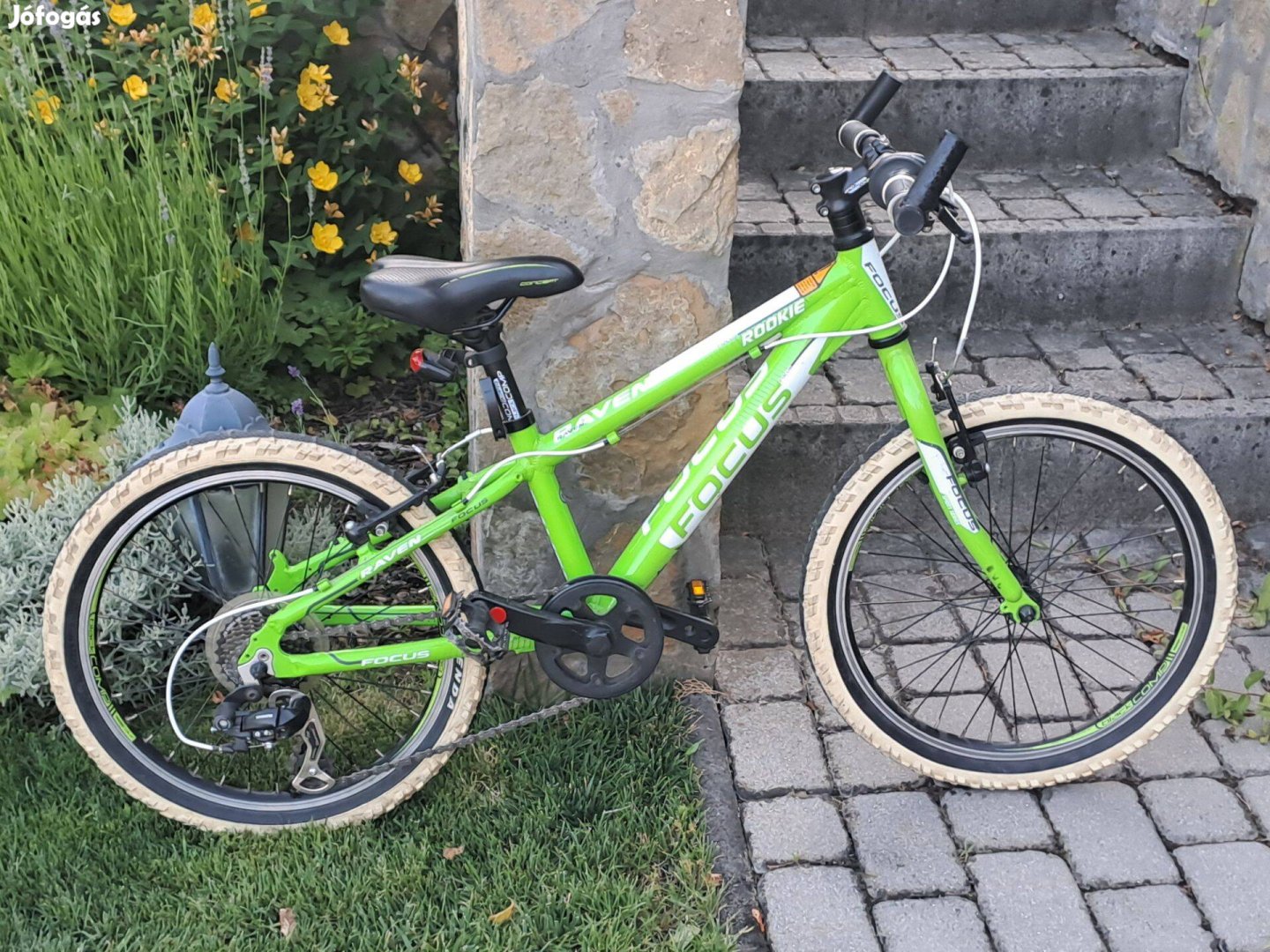 Focus Raven Rookie 20"