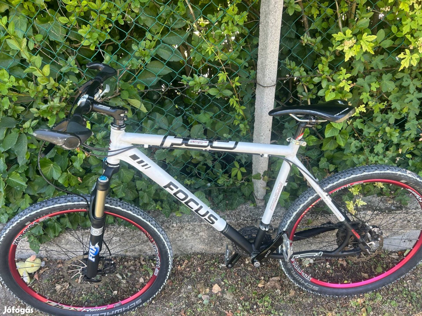 Focus Raven carbon