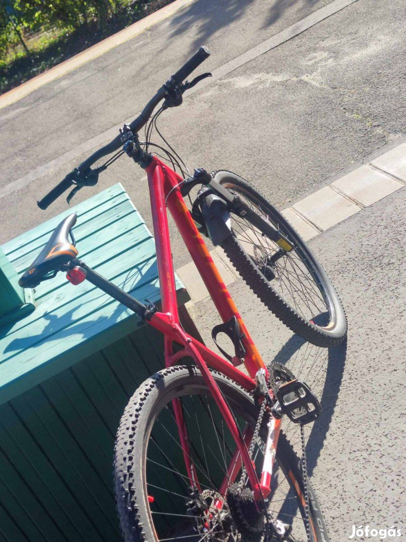 Focus Whistler 29´´ MTB bike