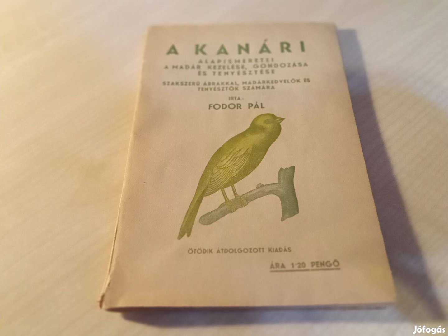 Fodor Pál - A kanári