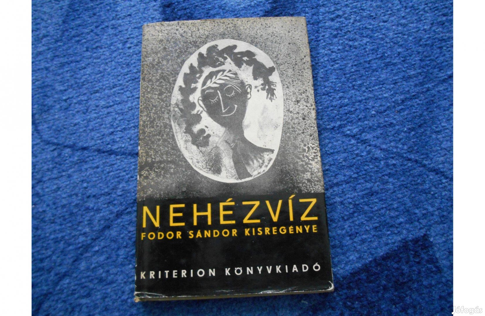 Fodor Sándor: Nehézvíz