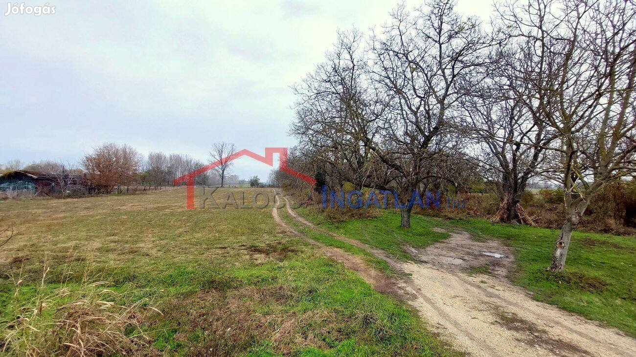 Foktőn 1,3226 hektár szántó és gyümölcsös eladó!