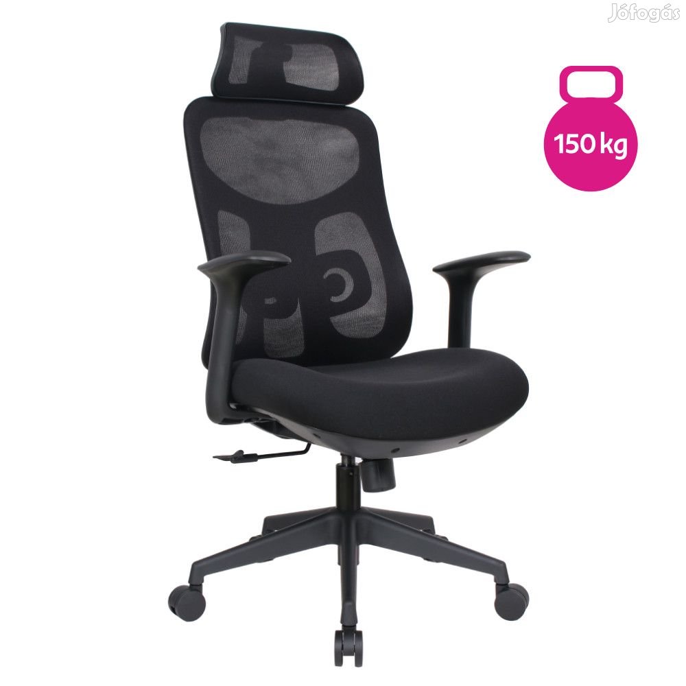 Főnöki forgószék 150 kg F13568