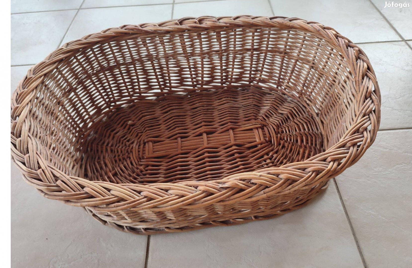 Fonott cicakosár