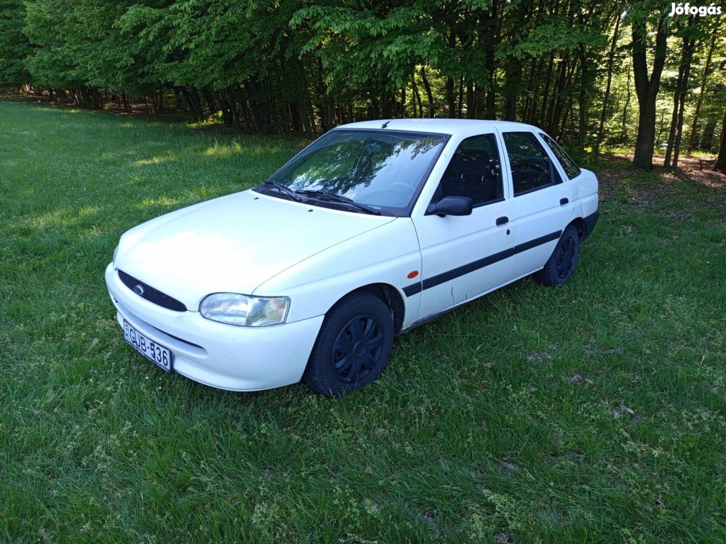 Ford Escort 1.3 CL Alba Magyaro-i