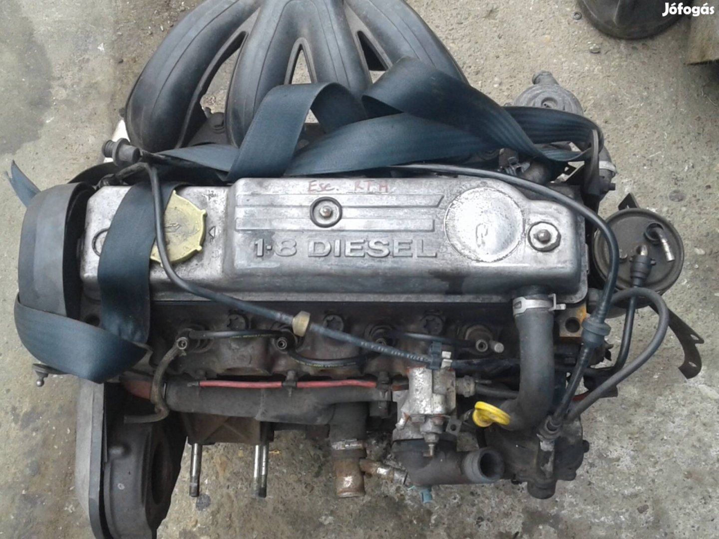 Ford Escort 1.8D komplett motor (RTH)