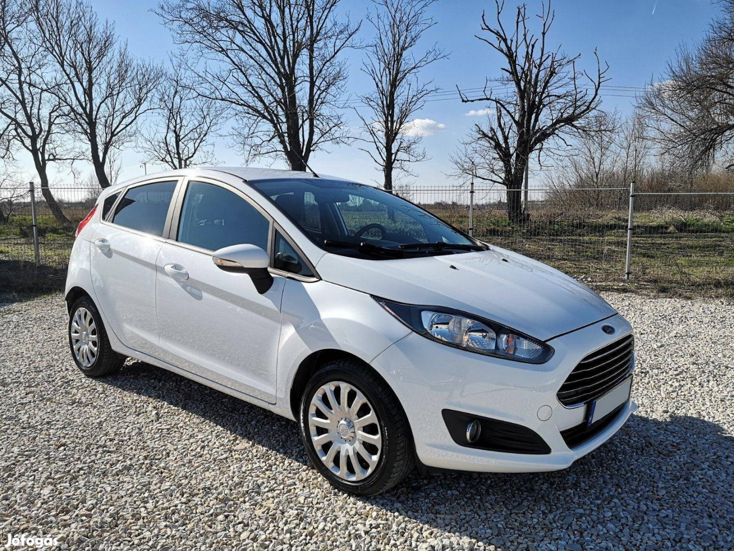 Ford Fiesta 1.25 Titanium Első tulajdonostól.Sz...