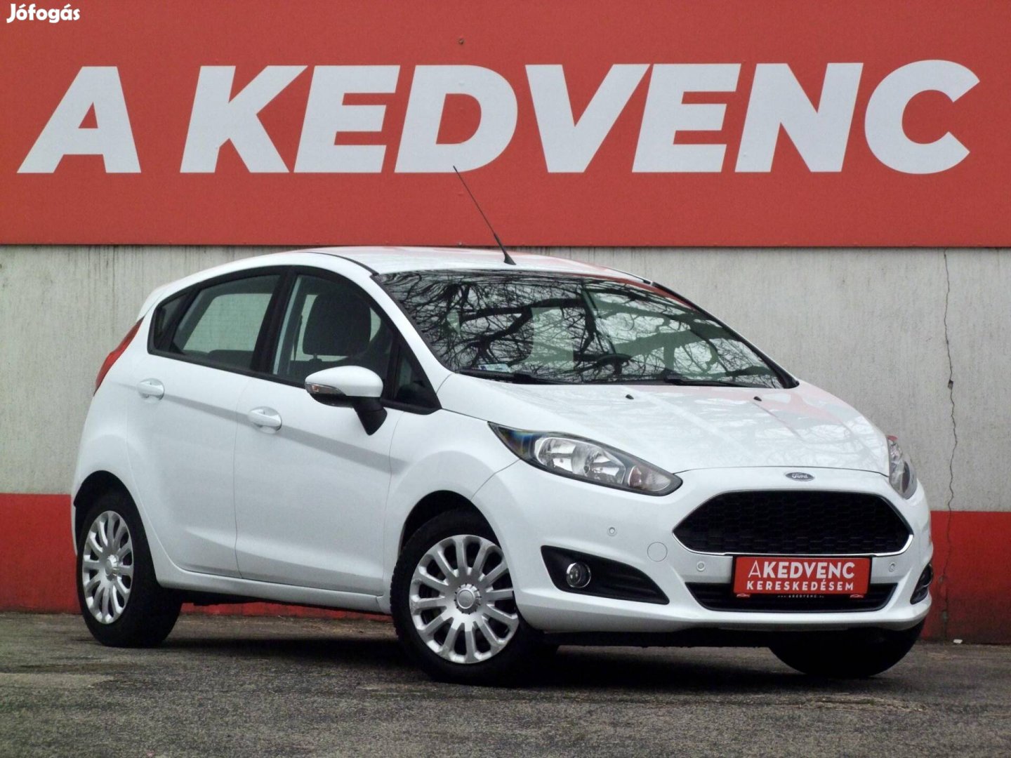 Ford Fiesta 1.5 TDCi Trend Technology EURO6 Mag...